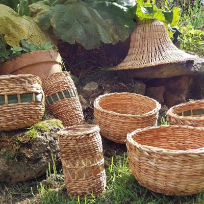 551096894_1656290338615866_556840100619094875_n