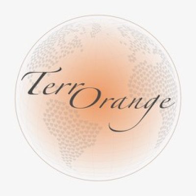 Logo Terre Orange carte visite