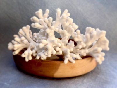 Neptune3B_corail