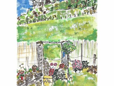 c6479c35-9b5b-4798-be9a-63c8d883503f